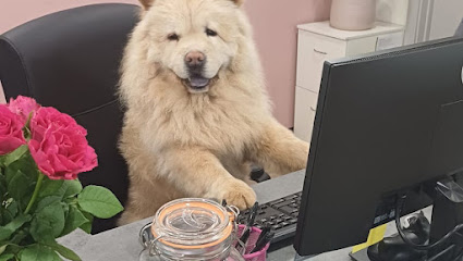 Needham Market Veterinary Centre