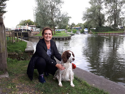 9 to 5 Dog Walks - Pet Shop in Ipswich