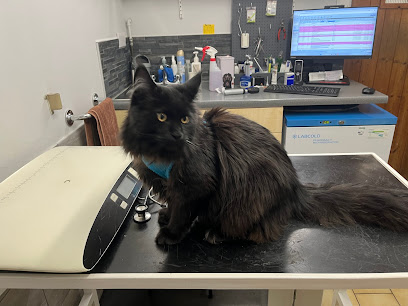 The Barn Veterinary Practice