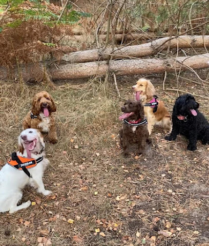 The Collar Club Ipswich