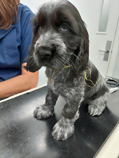 Vets For Pets Ipswich Martlesham