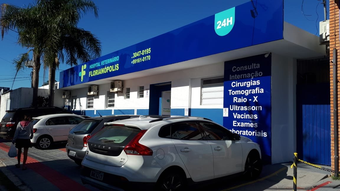 Hospital Veterinário Florianópolis Centro Pesquisas Células Tronco Biotecnologia