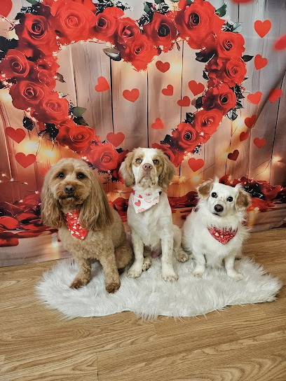 Pups N Roses Dog Grooming