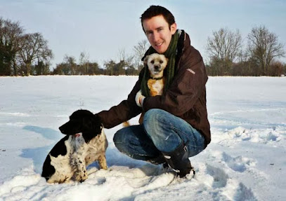 The Urban Dog Walker