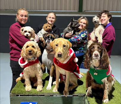 Precious Paws (Suffolk) Ltd