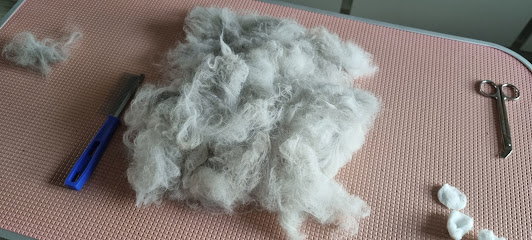 San's Cat Grooming Services