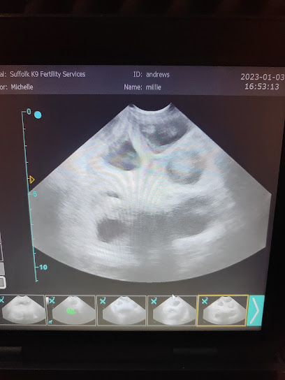 Suffolk K9 Fertility Services