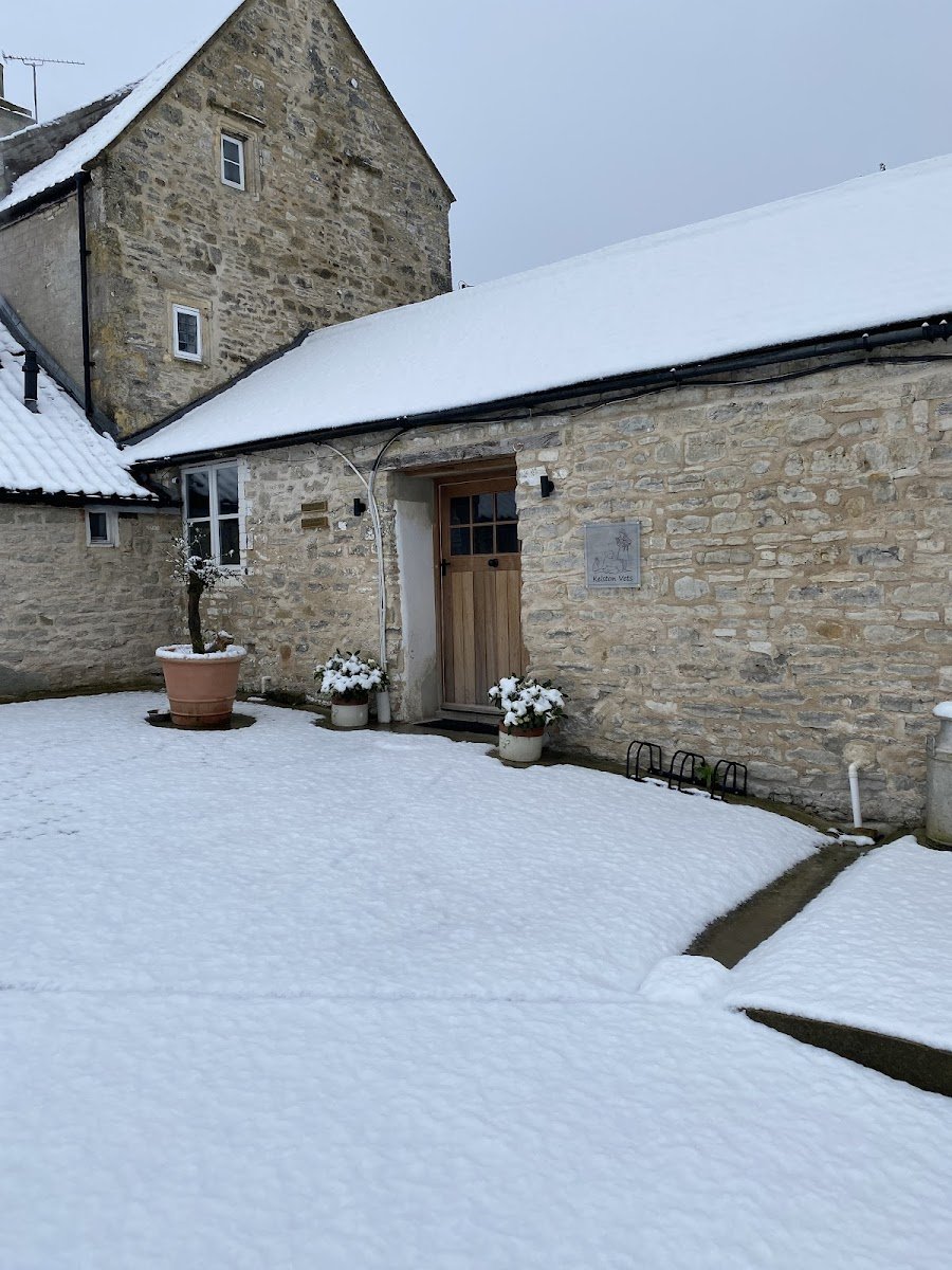 Kelston Vets - Photo 2