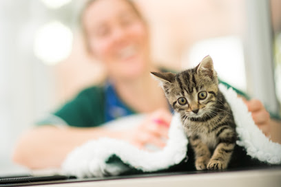 Bath Veterinary Group, Rosemary Lodge Veterinary Hospital - Pet Shop in Bath