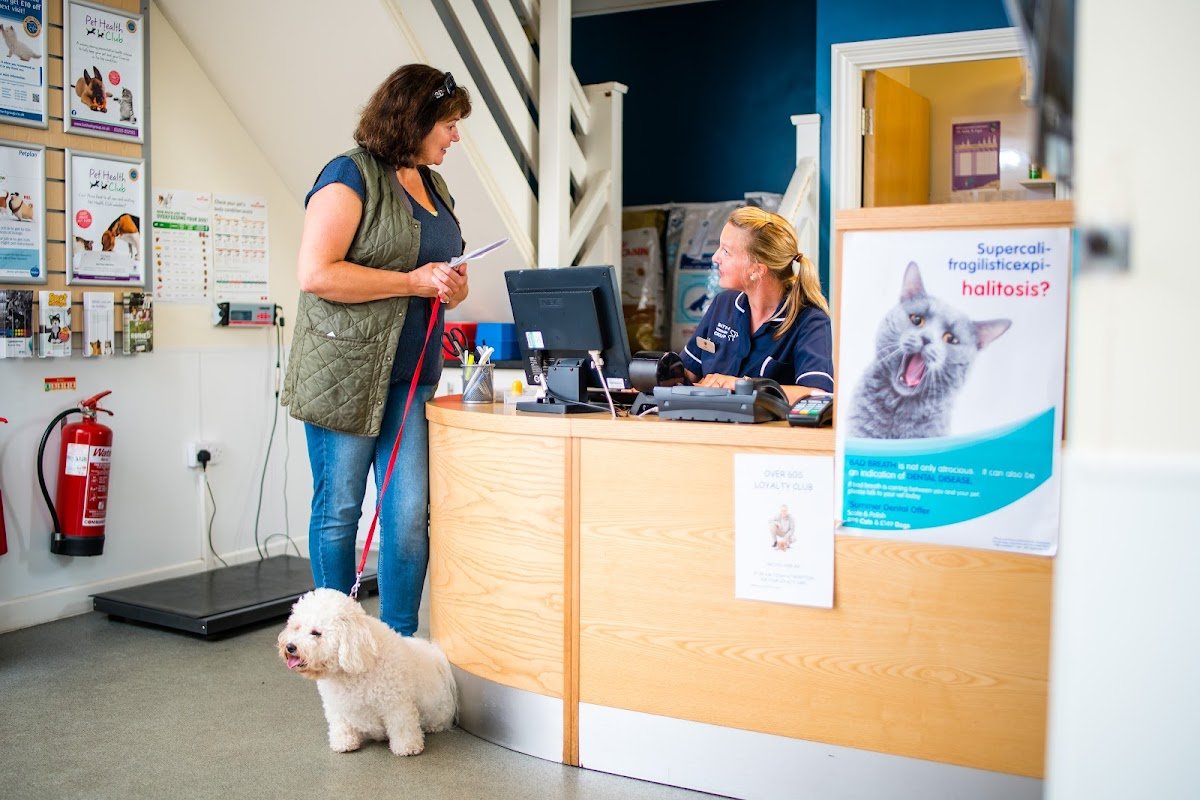 Bath Veterinary Group, Station Road Veterinary Surgery - Photo 2