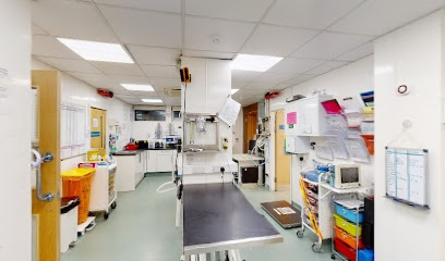 Bath Vet Referrals - Pet Shop in Bath