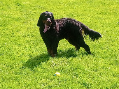 Hyver Boarding Kennels - Pet Shop in Bath