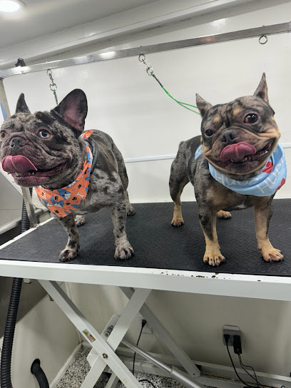 South Miami Mobile Pet Grooming - Pet Shop in Miami