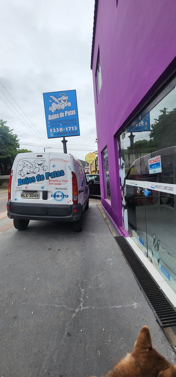 Pet Shop Anjos de Patas