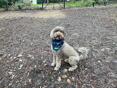 Sprocket and Friends Dog Walking - Pet Shop in Bath