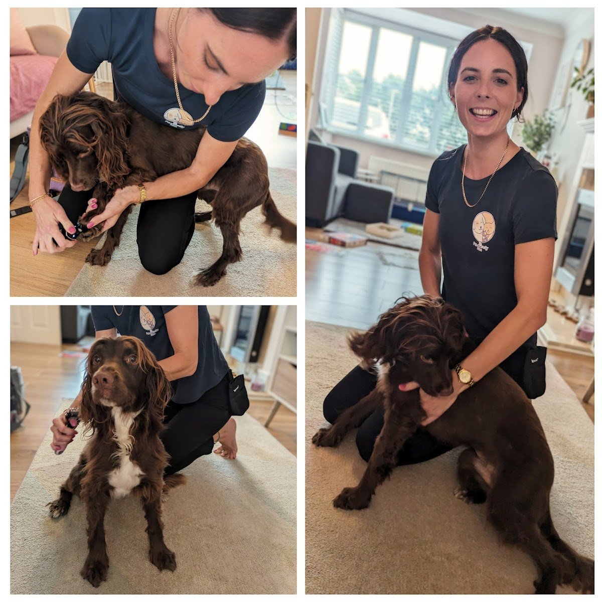 The Pawmmunity Nurse - Photo 2