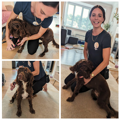 The Pawmmunity Nurse - Pet Shop in Bath