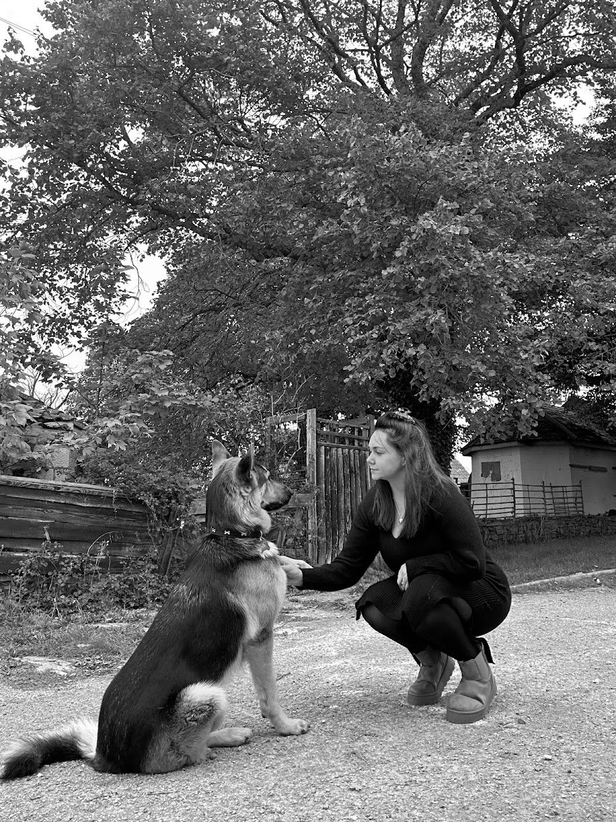 Wag n Tails - Photo 2