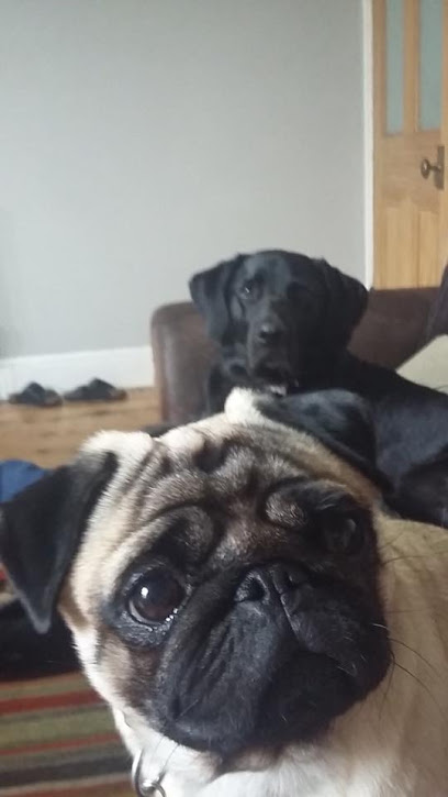 Friends for Pets Corsham - Pet Shop in Bath