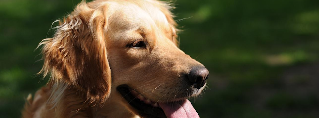 Friends for Pets Bristol - Pet Shop in Bath