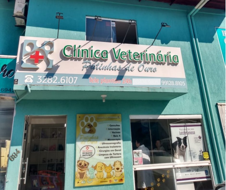 Dr Patinha - Florianópolis