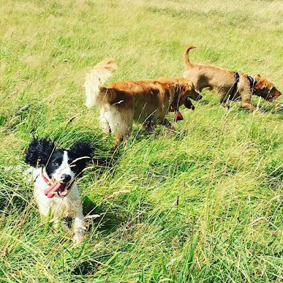 Friends for Pets Frome & Radstock - Pet Shop in Bath