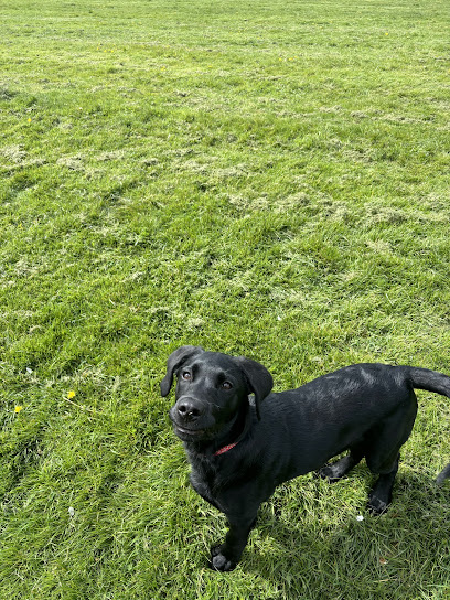 We Love Pets Trowbridge - Dog Walker, Pet Sitter & Home Boarder - Pet Shop in Bath