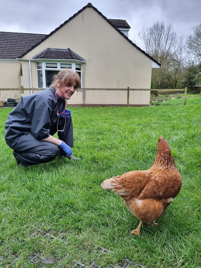 Chicken Clinic - Pet poultry vet - Pet Shop in Bath