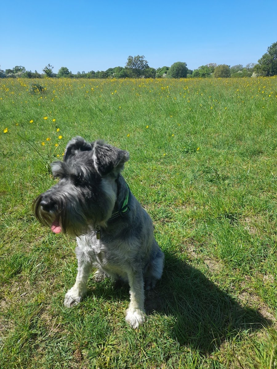 Watson's Walks - Photo 2