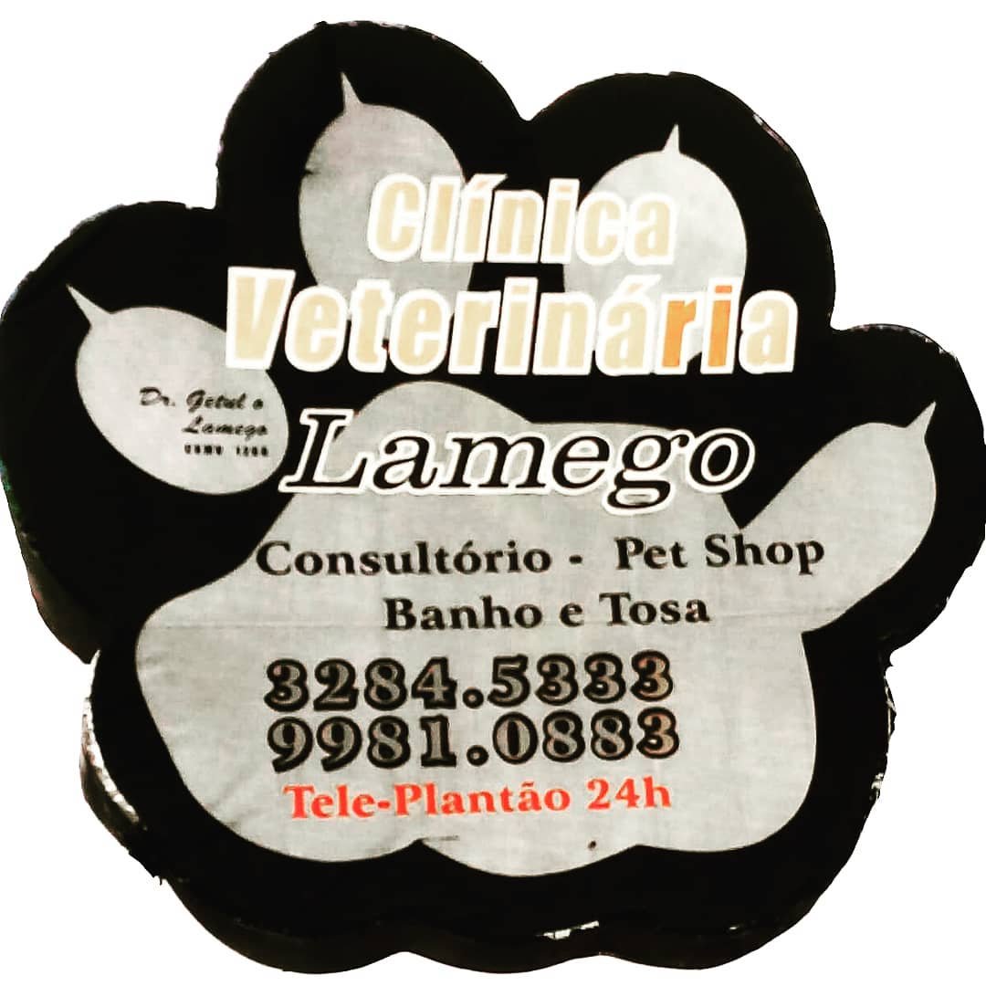 Clinica Veterinária Lamego - Pet Shop em Florianópolis