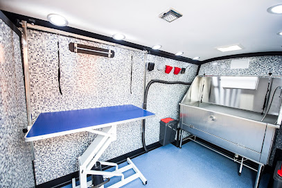 Dial a Dog Wash, Chester