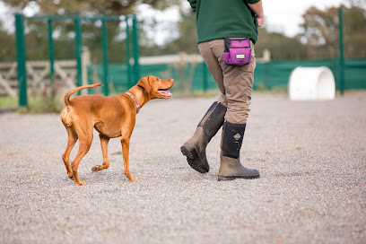 Behavioural Referrals Veterinary Practice