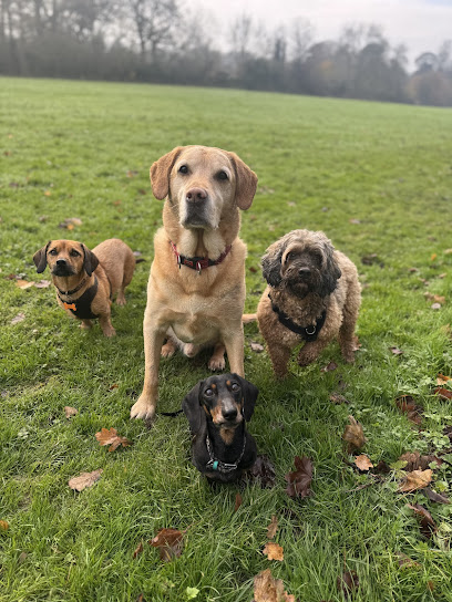 Tail A Maid Pet Services