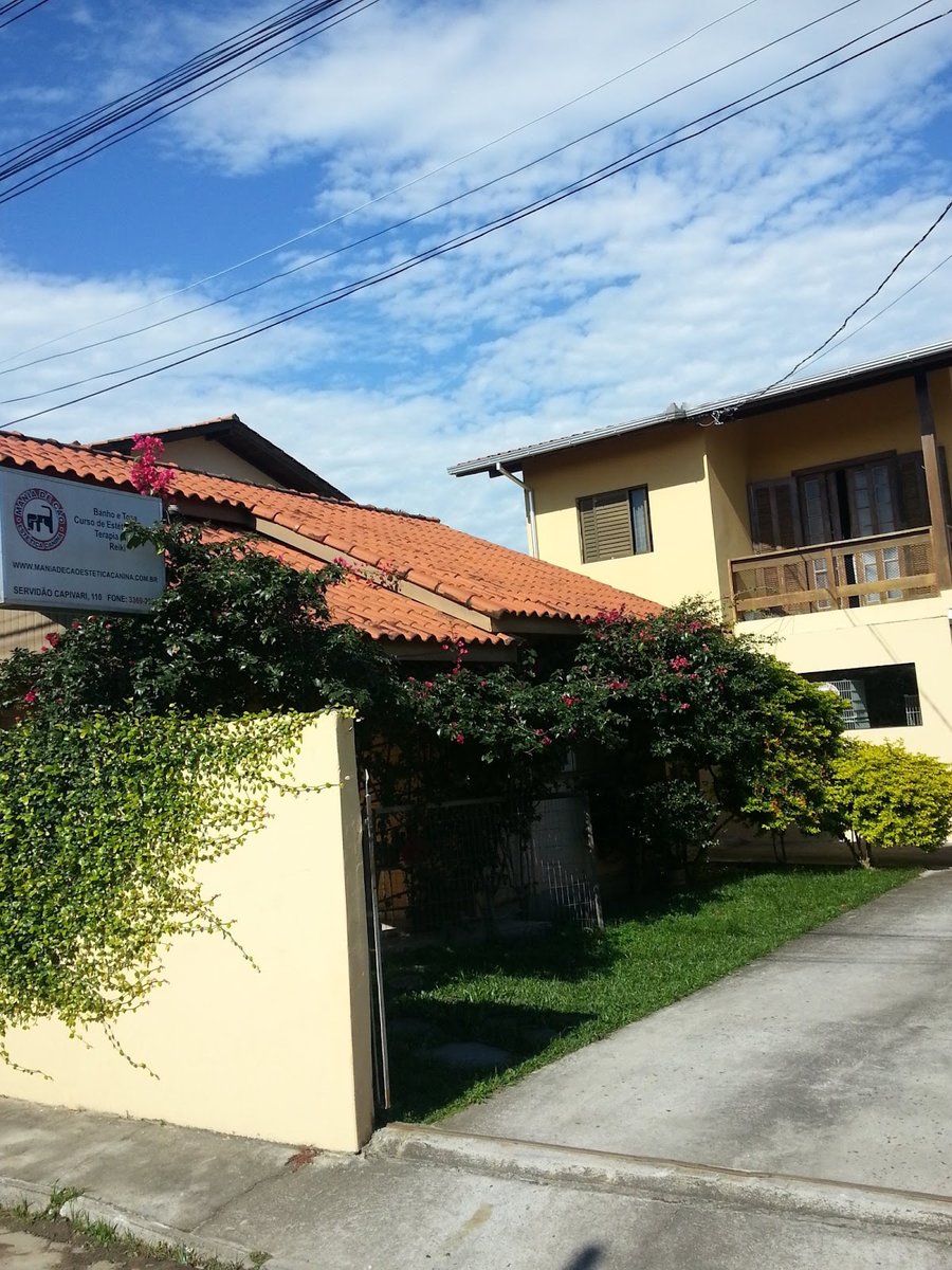 Mania de Cão - Estética Canina