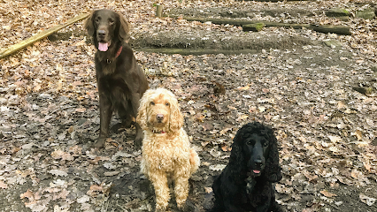 Pet Poppins Pet Services