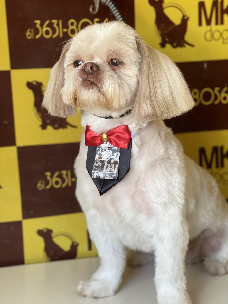 MK DOG - Formosa