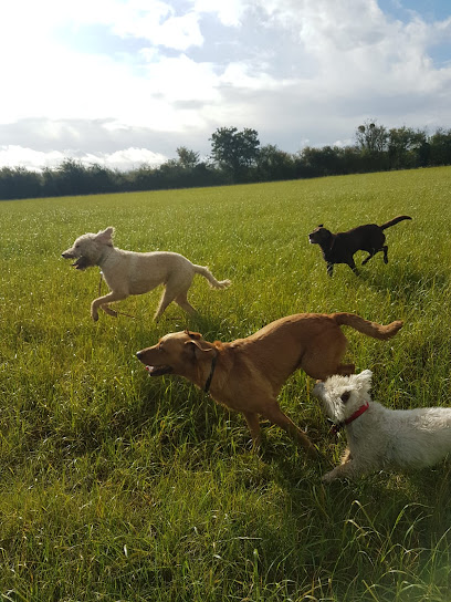 The Dog Walker - Cheltenham - Pet Shop in Cheltenham