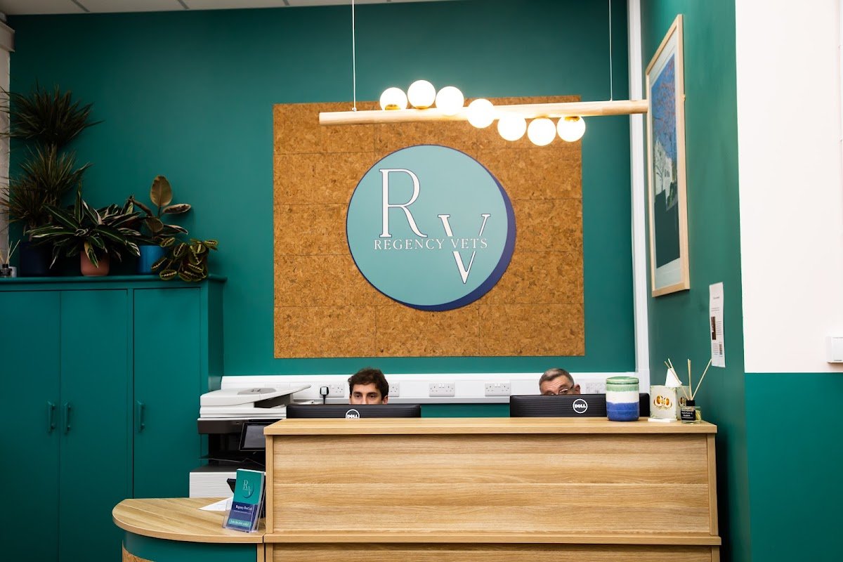 Regency Vets - Photo 2