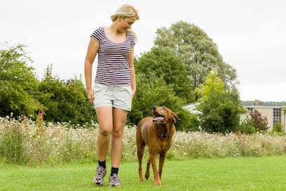 Social Paws - Pet Shop in Cheltenham
