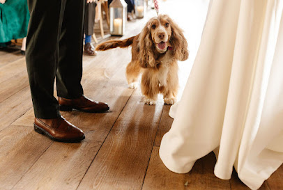 Short Legs Dog Care - Pet Shop in Cheltenham