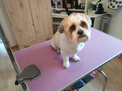 Tina's Top To Tails - Pet Shop in Cheltenham