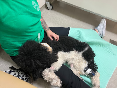 NCSU Emergency Services and Critical Care | Veterinary Hospital