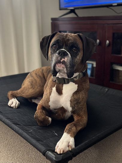 Carolina Canine Advisor