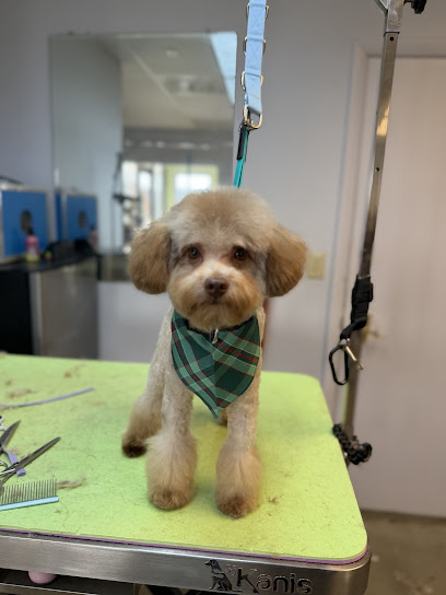 Friends Fur-ever Pet Grooming