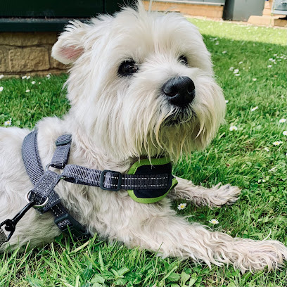 Paws For A Sniff - Pet Shop in Cheltenham
