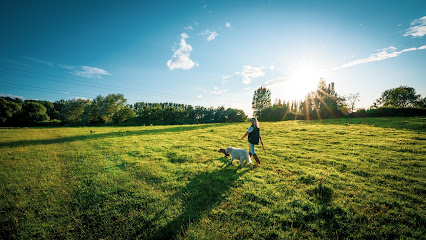 Lydia Day Dog Walking and Grooming Services - Pet Shop in Cheltenham