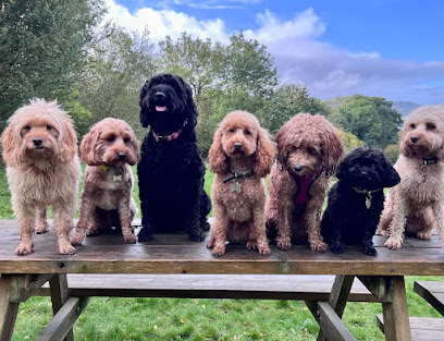 Find The Lead - Pet Shop in Cheltenham