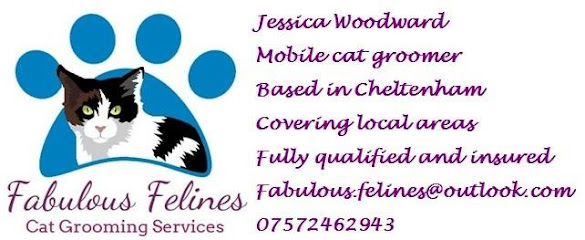 Fabulous Felines Cat Grooming - Pet Shop in Cheltenham