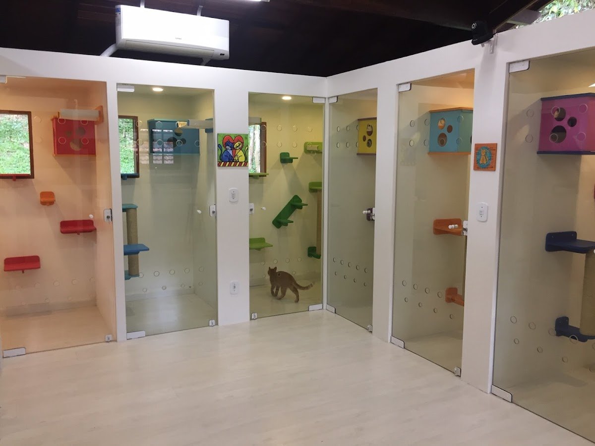 Veterinária Vira Lata - Petrópolis