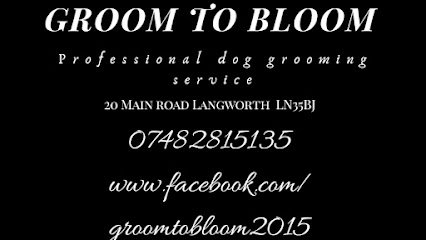 Groom to Bloom - Pet Shop in Lincoln